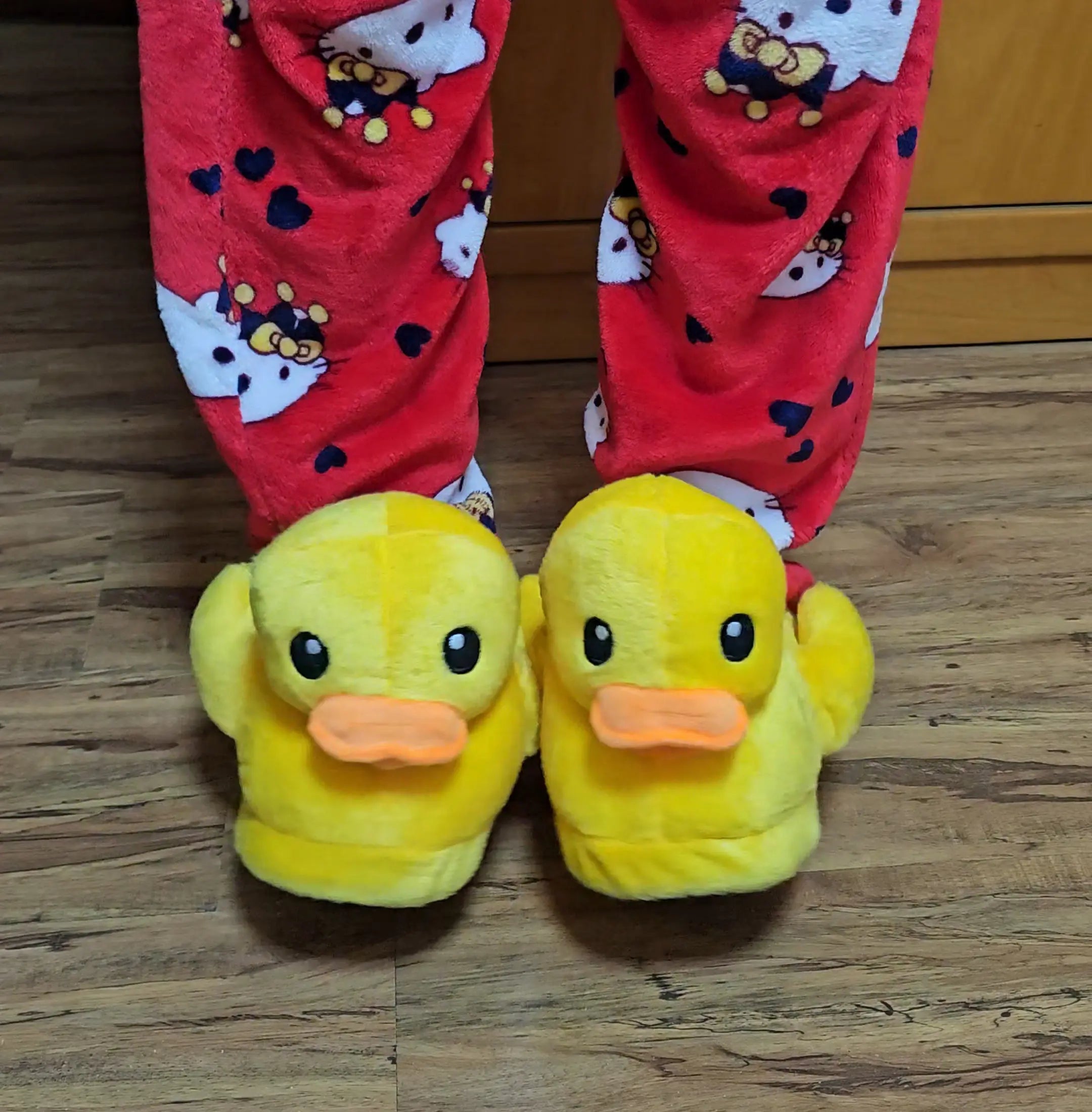 Duck Slippers