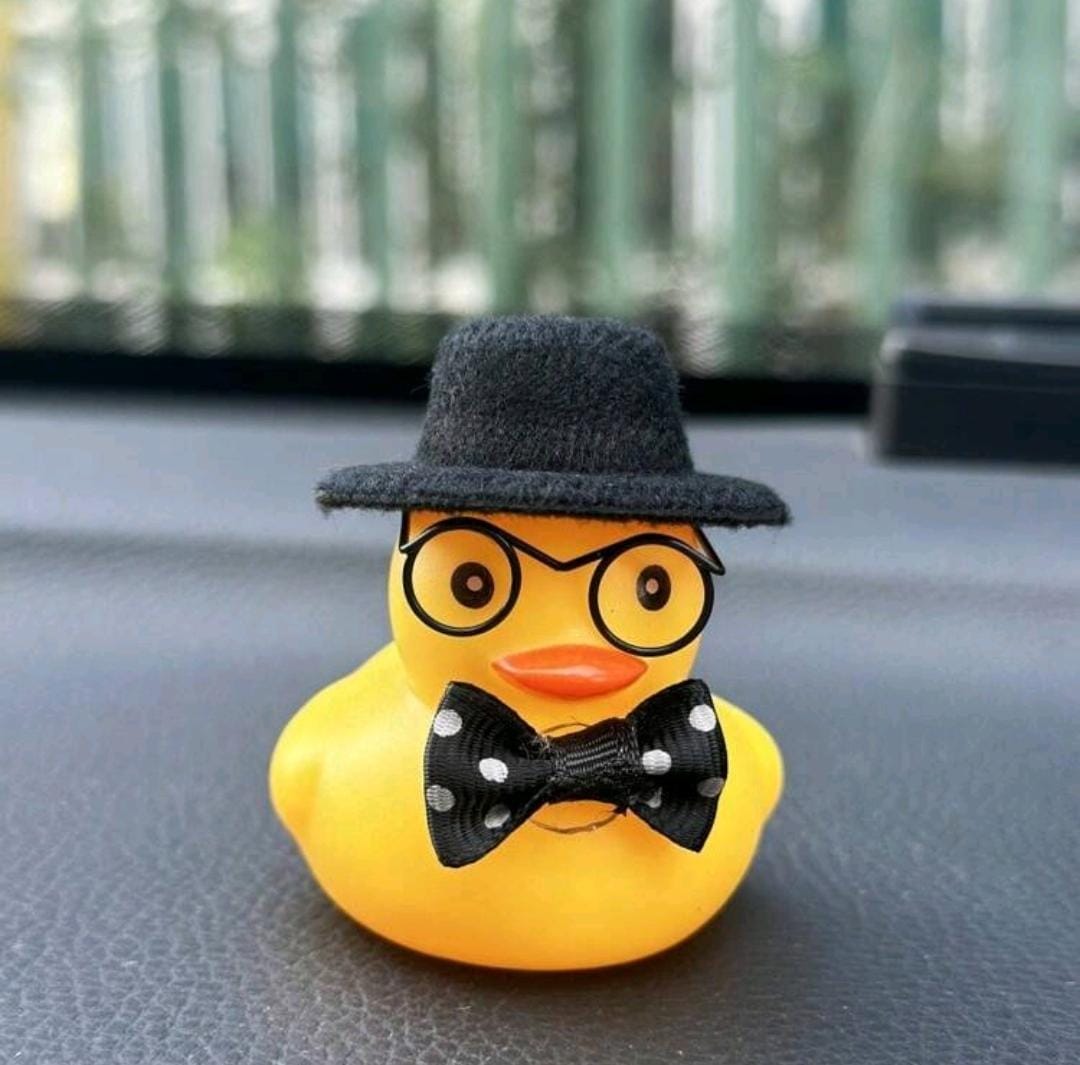 Summer Edition Ducklings