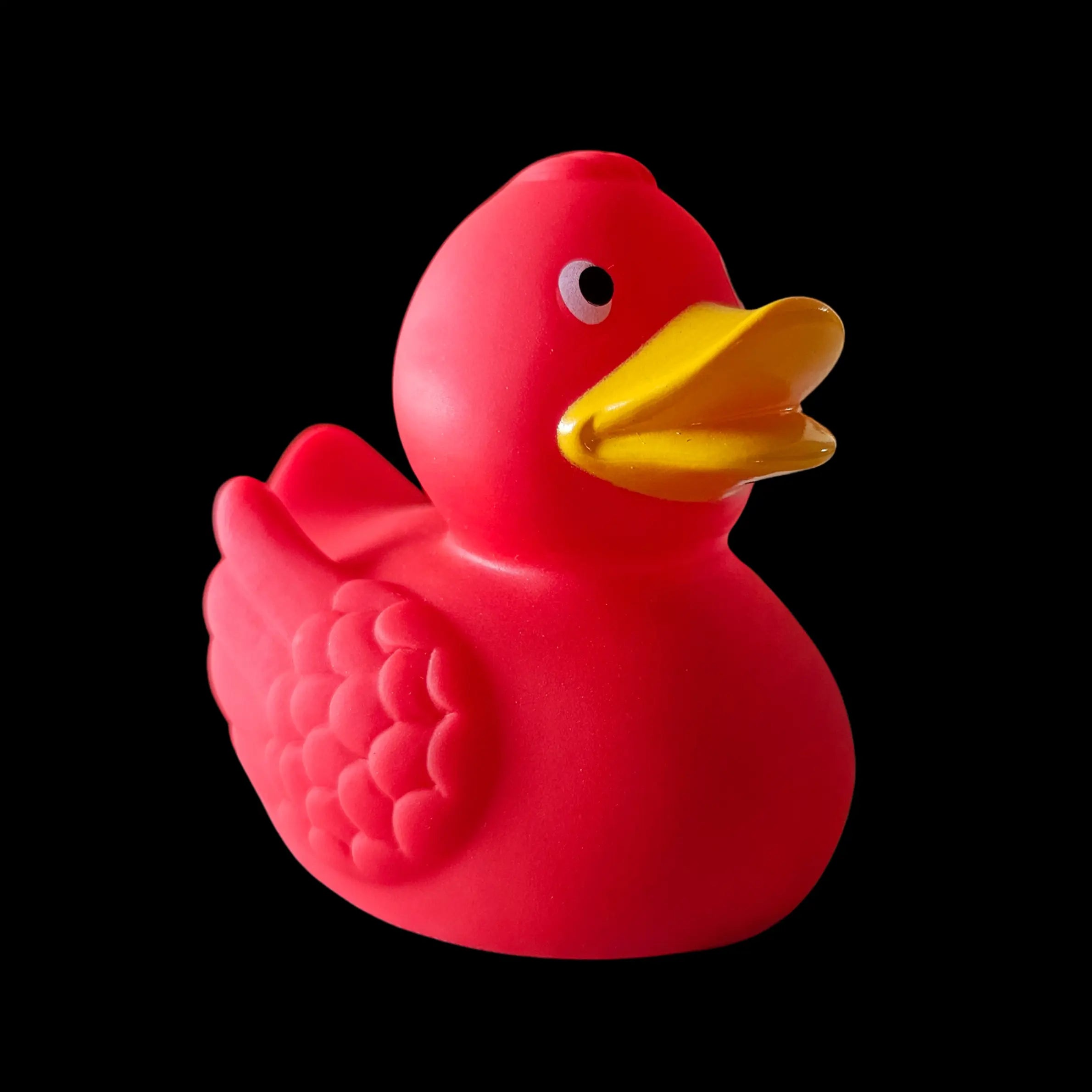 Red Wing Duck