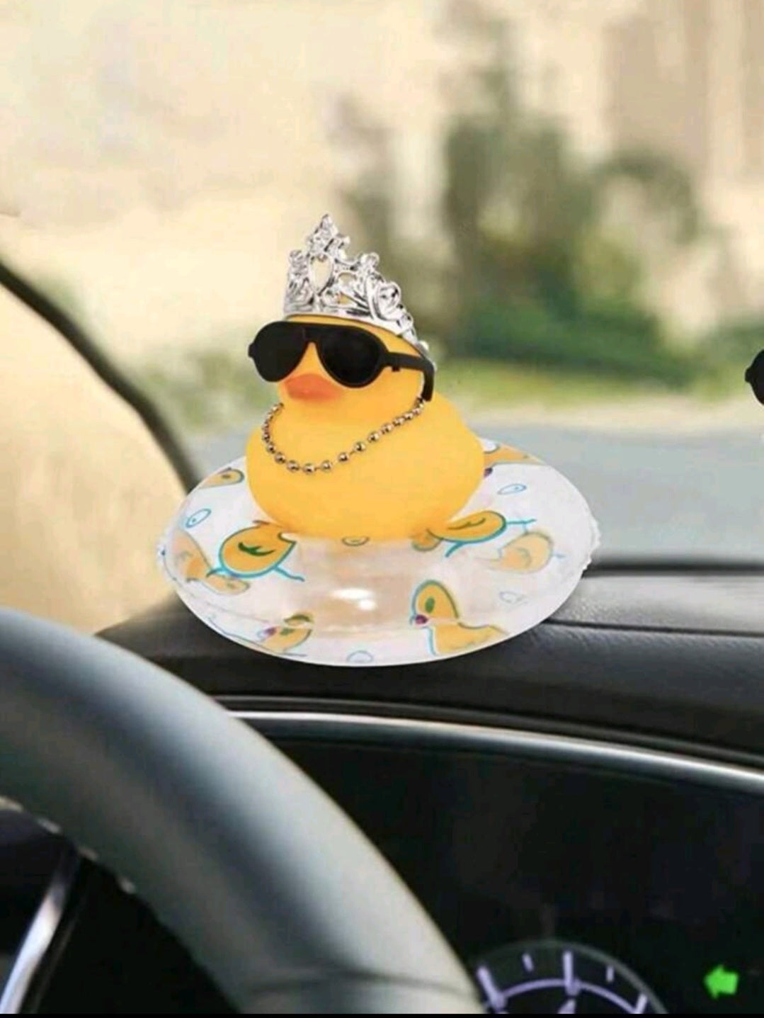 Summer Edition Ducklings