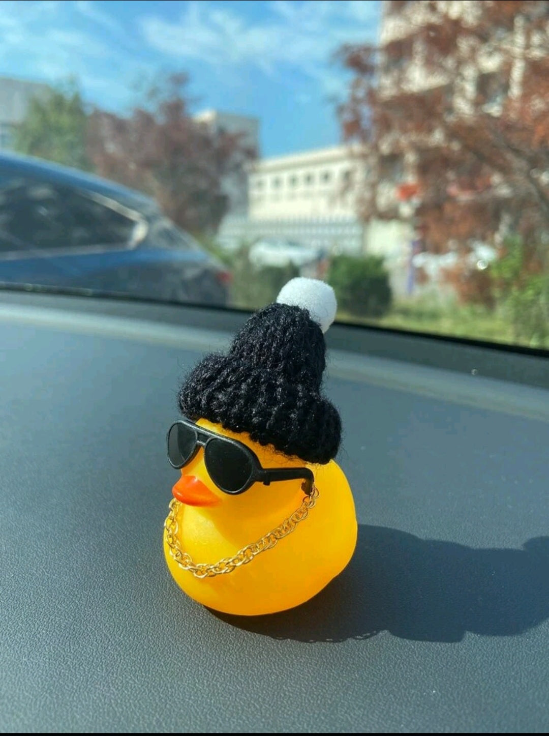 Summer Edition Ducklings