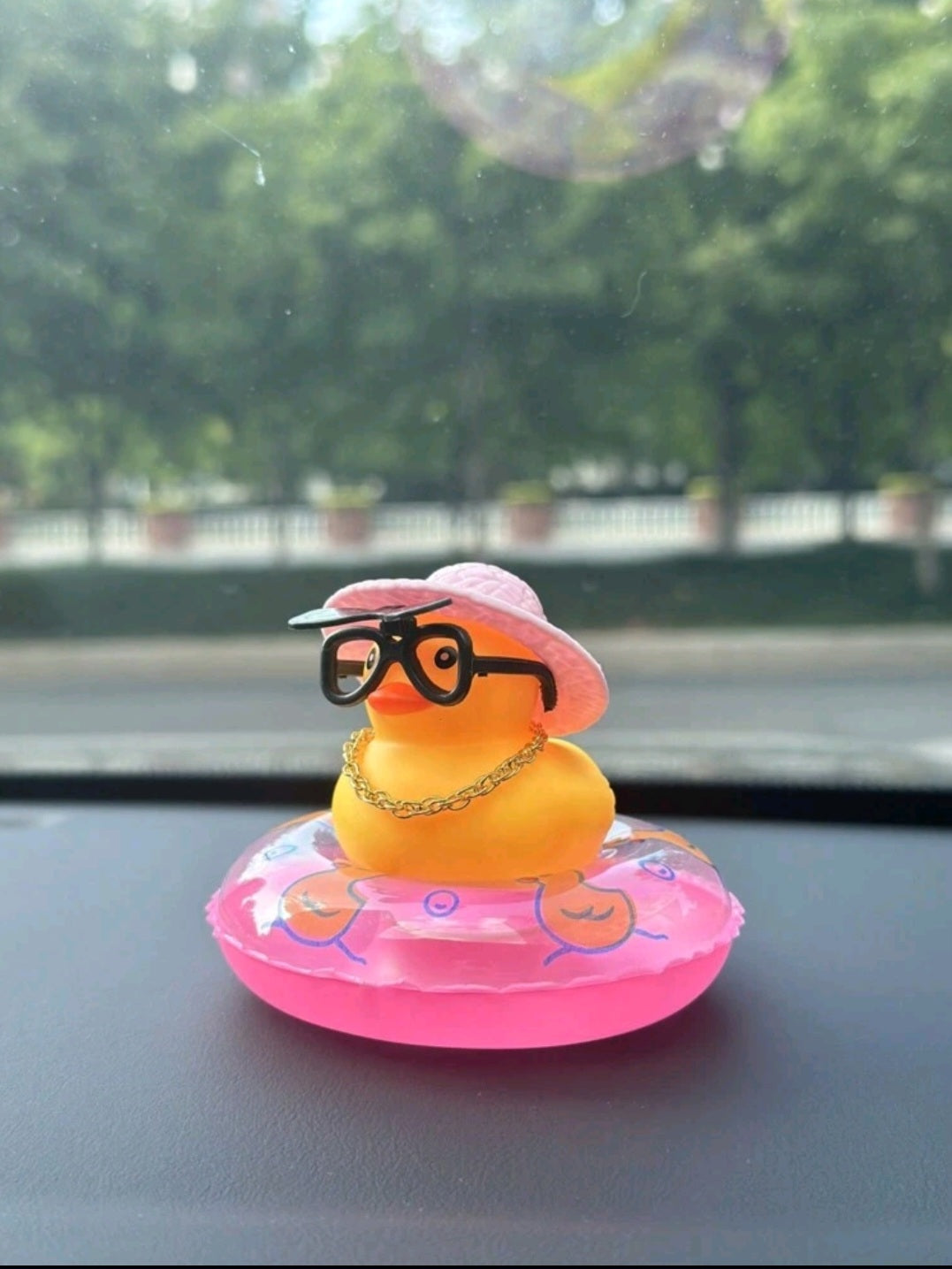 Summer Edition Ducklings