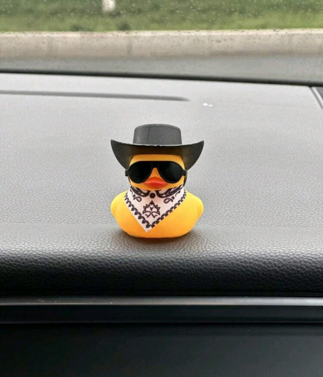 Summer Edition Ducklings