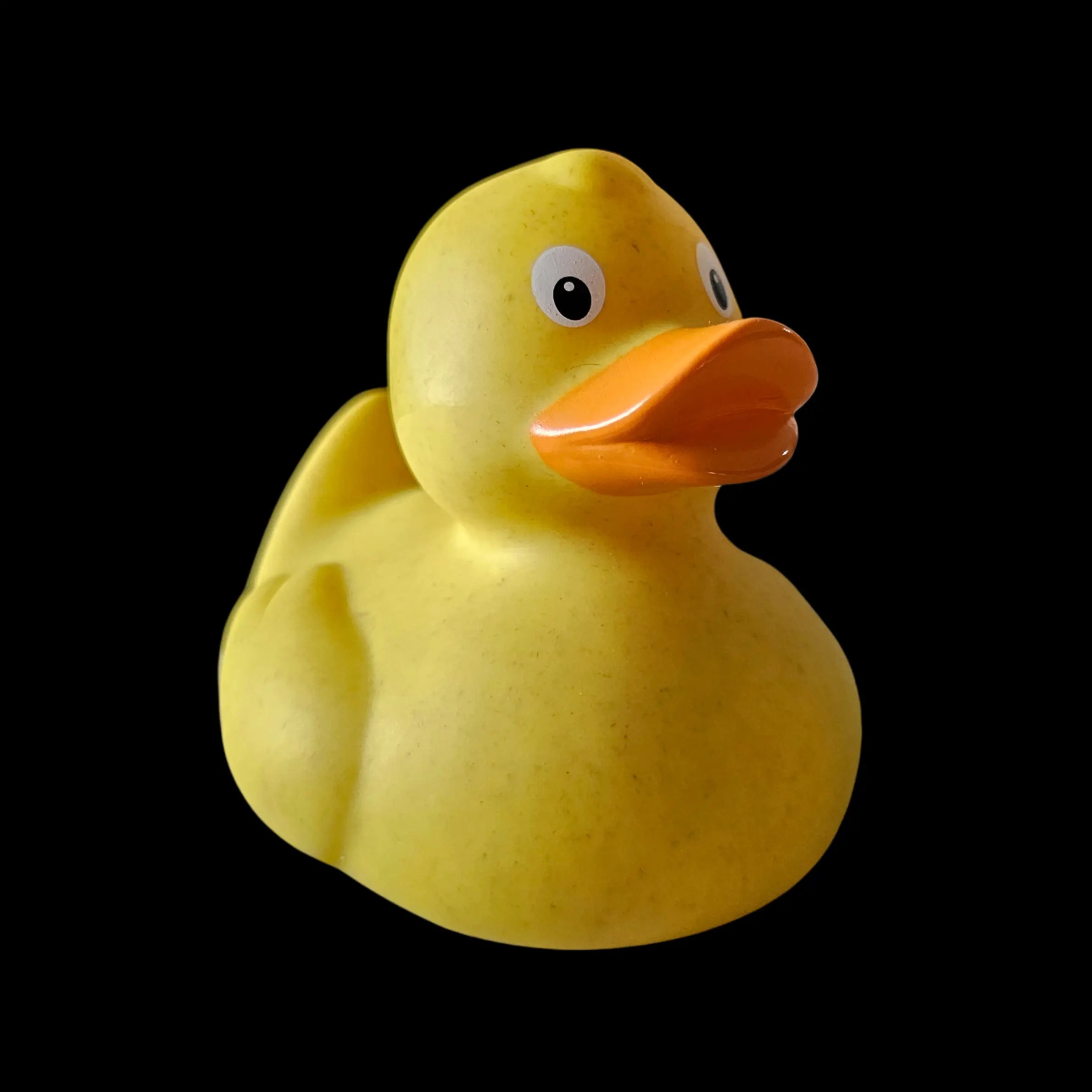 The One of a Kind Duck