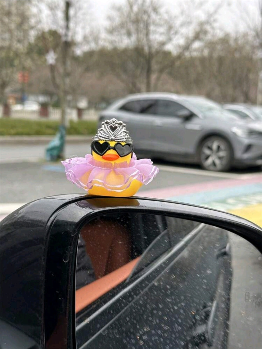 Summer Edition Ducklings