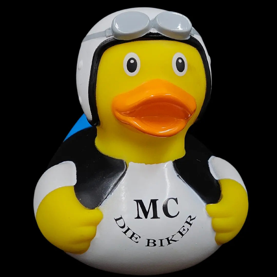 The Harly Davidson Biker