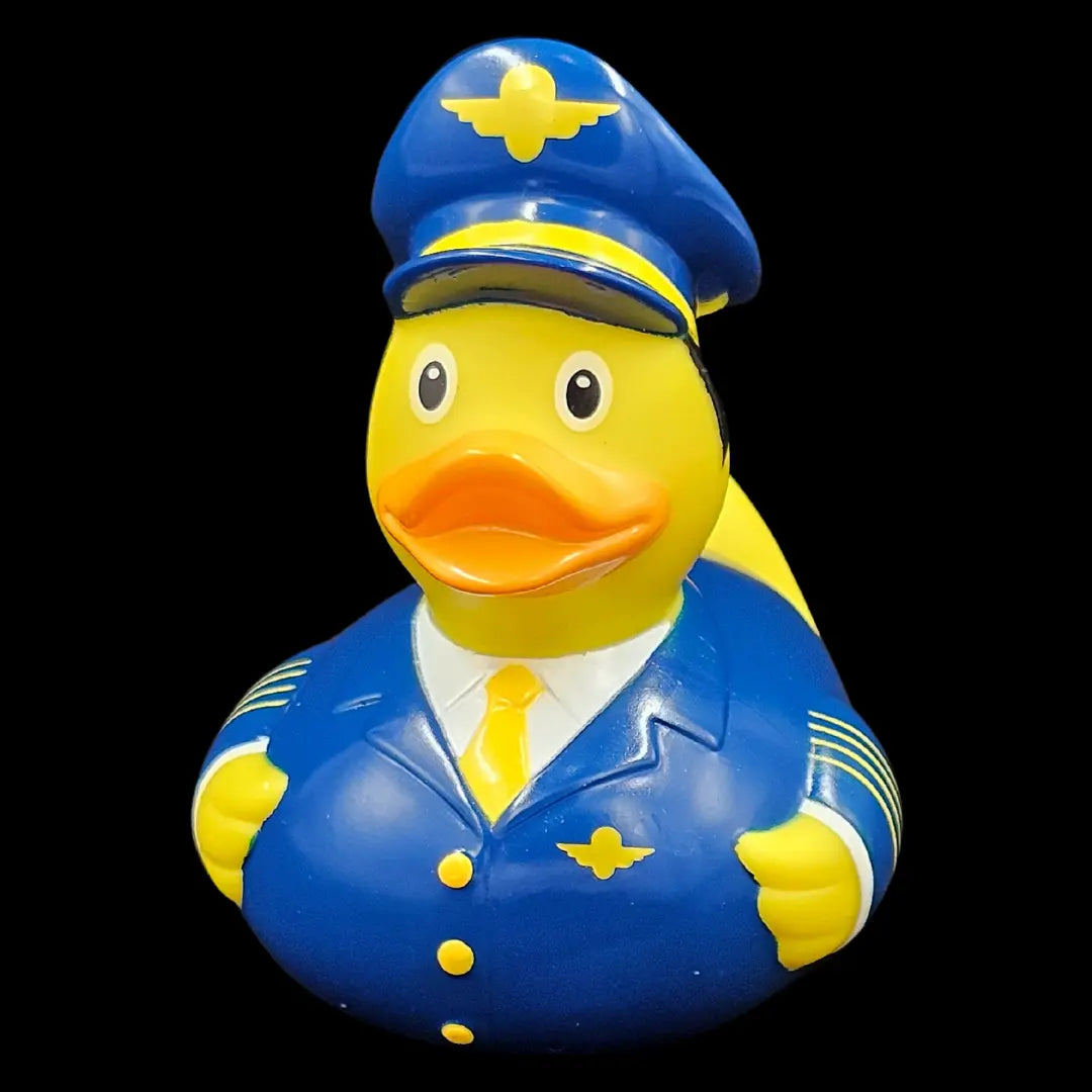 The Pilot - Captain Wingflap