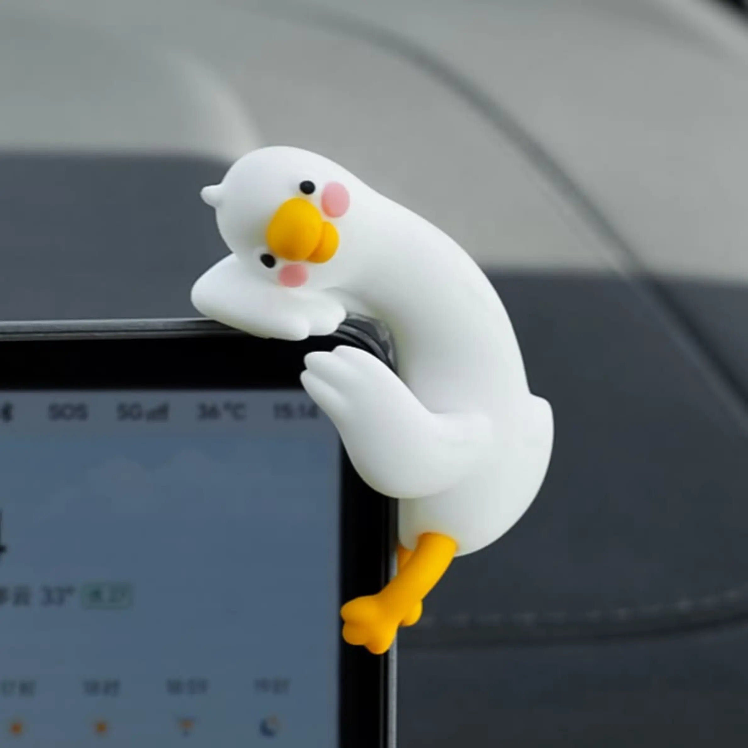 Hanging Ducks